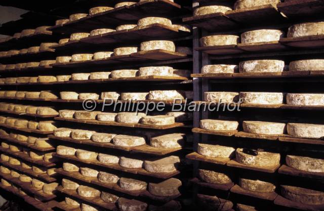 tomme de savoie 21.JPG - Tomme de SavoieAlpageMassif des BaugesSavoieFrance